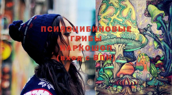 героин Богородицк