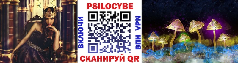 Псилоцибиновые грибы прущие грибы  Костомукша 